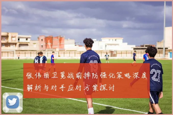 张伟丽卫冕战前摔防强化策略深度解析与对手应对方案探讨